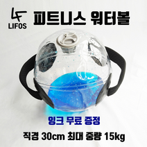 라이포스 트레이닝 워터볼 최대중량15kg 피트니스 아쿠아볼