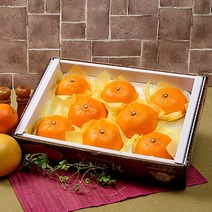 제철 제주 천혜향 5kg 12-17과 한라봉 제주감귤 제주귤선물세트 귤선물세트 제주도귤