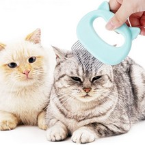 고양이 애견 조개브러쉬 귀빗 죽은털관리 마사지, 핑크