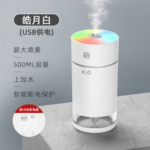 차량용 공기청정기 자동차 차량 파워 에코, 백·