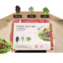 홈가드닝 상추텃밭 상자 배양토세트 상추키우기 텃밭 실내텃밭 원예용품 집에서 베란다텃밭 텃밭화분 화분