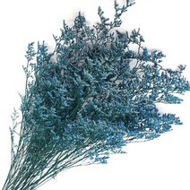 미스티블루 블루 프리져버드 한다발