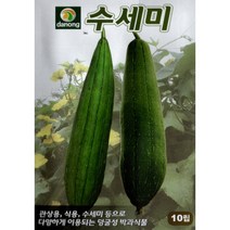 (씨앗) 수세미 - 수세미 씨앗 종자 - 텃밭용 가정재배용 소포장 - 10립