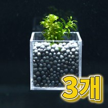 미미네아쿠아 어항수초 컨테이너 검정말 세트 3개, 단품없음