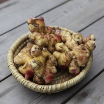 국산 완주 봉동생강 세척생강 흙생강 특상품 1kg 산지직송, 세척생강 1kg