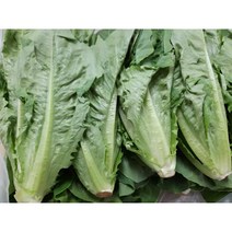 [특급] 싱싱한 통로메인 500g /1kg, 통로메인 1kg, 1개