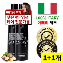 에코스라인 이태리 100% 제조 판매 1위 오가닉 이중 케어 프로페셔널 카본9 차콜 샴푸, 2개, 350ml