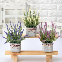 [행복한세상]씨드라벤더사각화분, 씨드라벤더사각화분(크림)