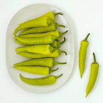 당조고추 1kg/2kg/3kg/5kg, 1박스, 2kg