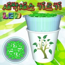 LED 새싹 기르기 씨앗발아기 (1인용), 1개