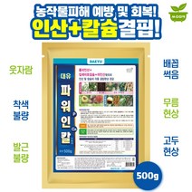파워인칼 500g 수용제 폴리인산 킬레이트칼슘 아인산 웃자람 경감 칼슘결핍 도장 억제 영양제, 1개
