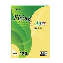 삼원 OA용지 플라잉칼라 이글 (120g/A4/20매), [2171310]E37(검정색)