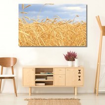 셀러허브 벼이삭 가을 와이드 풍경 사진 그림 액자 40호 100x63cm, 캔버스액자(옆면검정)
