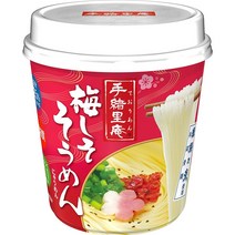 붓카케우동 우동맛집 일본음식 뉴터치 데오리안 우메시소면 31g×6개, 6개, 31g, 상품선택
