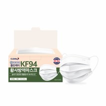 잇츠케이 [클린케이] 덴탈형 KF94 마스크 대형 50매입x2팩 (총 100매), 필수선택, 1
