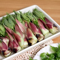 지리산 햇 엄나무순 개두릅 음나무순 엉게, 상품 1kg