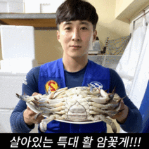 특대 꽃게 kg당 (3-4마리) 암꽃게(2-5kg) 가을 숫꽃게(3-5kg), 가을철/봄철 숫꽃게5kg