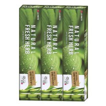 죽염치약 내추럴후레쉬허브 치약 160g 3P 호랑이풀 죽염 양치 엘지치약, 허브쿠팡 1, 허브쿠팡 본상품선택