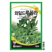 와일드 루꼴라 2000립 / 루꼴라씨앗 루꼴라씨 상추 씨앗 종자, 1개