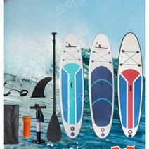 포일보드 SUP 수상 패들보드 스포츠 서핑, F