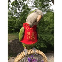 앵무새 옷 코뉴어 새 모란 겨울 털 복주머니 축제 면 귀여운 글씨 옷 티셔츠 설날, 앵무새종류 배송요청에 적어주세요., 축제 원피스 똥 주머니