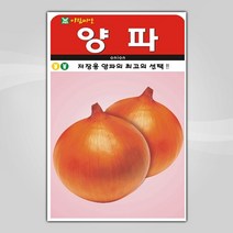 슬로시 슬로시 김장 채소 씨앗 무 배추 당근 씨 종자, 양파300립(아람)