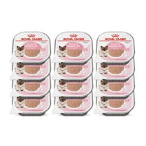 로얄캐닌 마더앤 베이비캣 캔 습식사료 100g X 12P