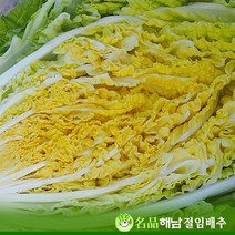 (산지직송 해수절임) 명품 해남 김장절임배추 해수절임배추 해남절임배추 20kg, 12월07일(수)도착