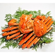 주문진 동해 딱딱이 연지 홍게 자숙, 1개, A급 수율 70% 3kg 9-11마리