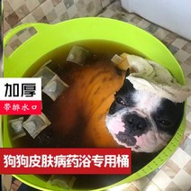 반려동물 펫욕조 작은 개 고양이 애완 접이식 테디 코기 배수구, [24] 물 특종