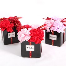 비누꽃 화분, 핑크