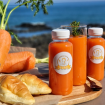 롯데백화점오늘당근 제주 유기농 당근 착즙 주스 250mlx5병 예약상품 2023.10.04 부터 발송 963288