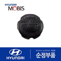 그랜저TG 브레이크오일 캡 (탱크 통 뚜껑 덮개 마개) (2006-2010), 1개