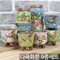 마켓플랜 플라워 다육이 미니 화분 9종 세트, 그린, 블루, 아이보리