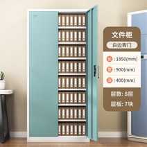시약장 바우처 캐비닛 사무실 파일 캐비닛 재무 회계 데이터 파일 캐비닛 두꺼운 강철 번개 잠금 철 캐비닛 사물함, 1.2mm, 8단 바우처 수납장하얀 테두리와 녹색 도어