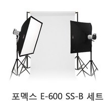 포멕스 E600 SS-B 세트 촬영조명 및 배경 결합 의류촬영 제품촬영 스튜디오, 1개, E600 조명+하프사이즈(135cm)이동형배경세트