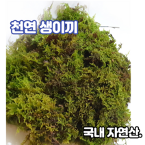 천연생이끼100g 털깃털이끼 고급화분장식 테라리움 풍란 석 목부작 분재 분경마감 원예 정원조경 수삼장식