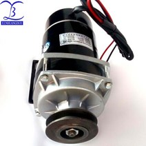 450w 500W 600W 24V/ 36V / 48v 벨트 풀리 기어 모터 브러시 모터 전기 세발 자전거 모터 DC 기어 브러시 모터 MY1020ZXF|직류 전동기|, 1개, 단일, 36V 450W