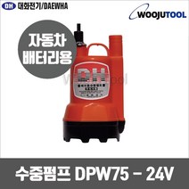 대화전기 수중펌프 DPW75-24 DC24 미니양수기 펌프, 1개