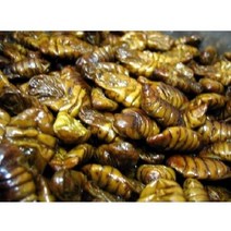 추억의 간식 냉동번데기(뻔데기)4kg, 1