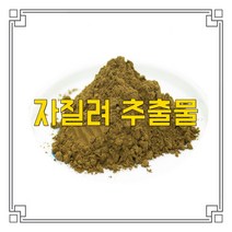 소율국제 자질려 고농축 추출물 분말, 20:1, 200g, 1개