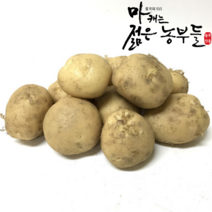 [영파머스몰]마캐는젊은농부들 포슬포슬 감자 수미 설봉 분감자 훍감자, [감자] 특대품 5kg