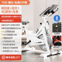 운동 무소음 바이크 유산소 좌식 접이식 기구 고정식 사이클 스피닝 홈트 헬스, 709-아백-피티 vip버전-온라인피티+마그네틱스