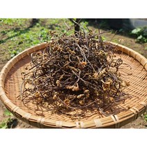 지리산 산청 건고사리 100g 자연산 국내산 (22년 첫 출하 햇 고사리 산고사리)