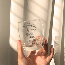 무드선셋 Your Dog 유리컵, 6P 세트