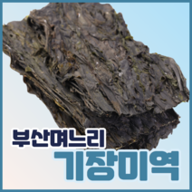 부산며느리 자연산 기장 미역 산모미역, 3개