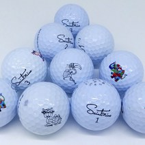 세인트나인 볼빅 타이틀리스트로스트볼 A- 등급 20알 착한 로스트볼 골프시즌, 타이틀리스트pro v1