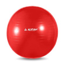 인도어 스포츠 헬스 트레이닝 용품 짐볼 65cm 레드, 빨강