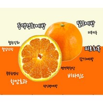 [제주직송]23년 제주도 첫수확 황금향 특상품 가정용 선물용 3kg 5kg 10kg, 1개