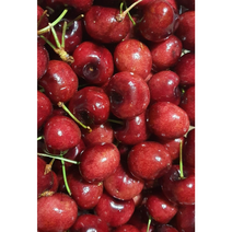 워싱턴 빙체리 1kg 항공 직수 미국산 생 체리 프리미엄 고당도 빙 체리 항공 직송 제철 과일 맛있는 체리 달콤한 체리, 1개, 500g+500g